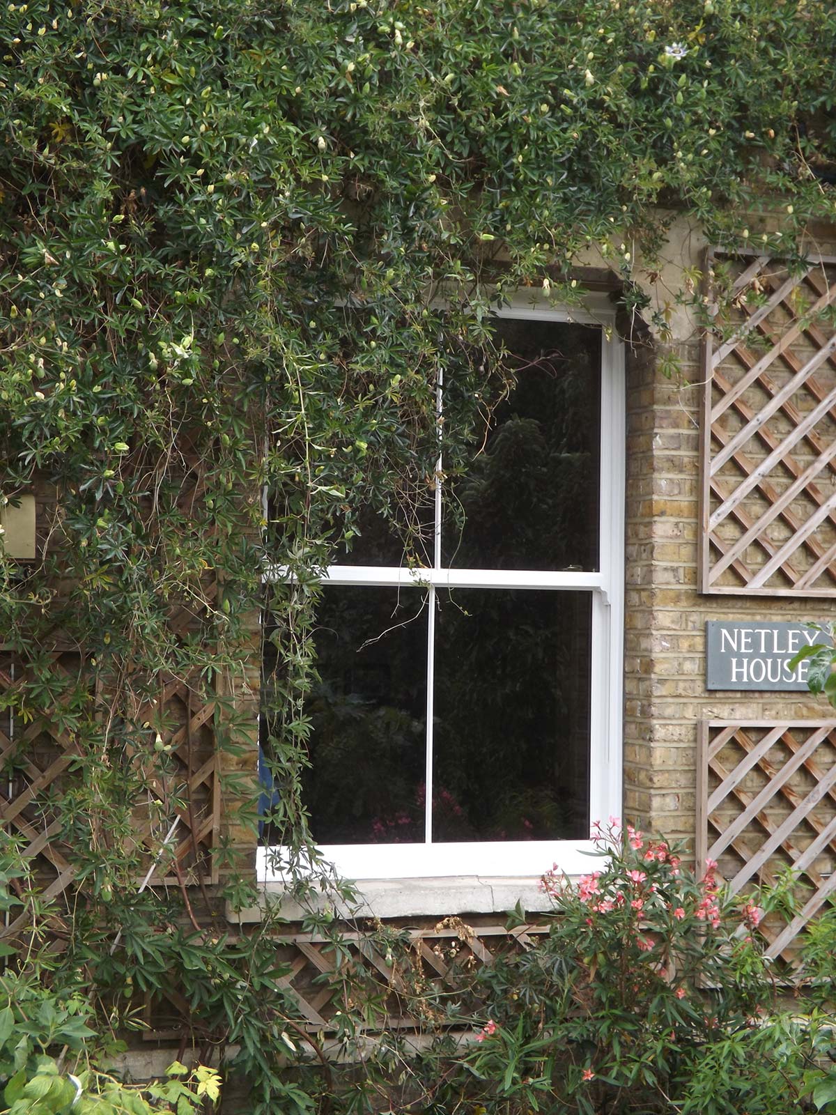 uPVC Sliding Sash Windows London