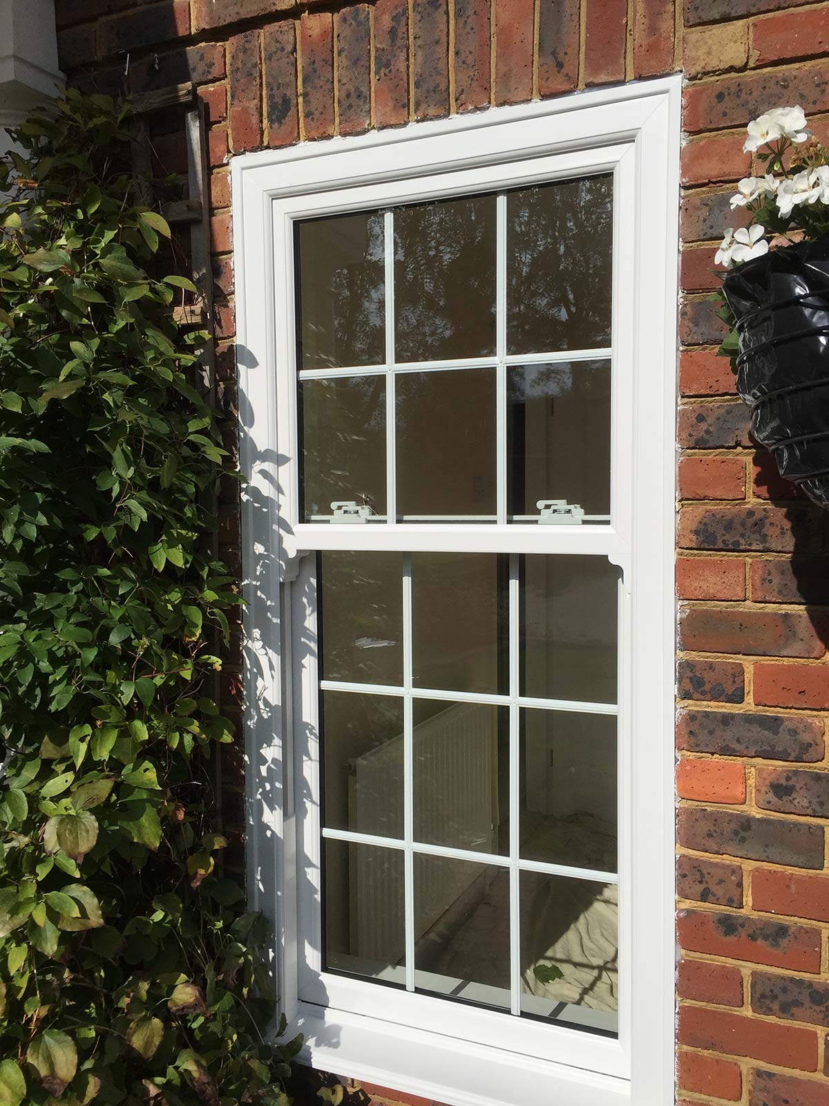 Edwardian Sash Windows